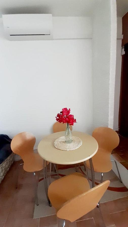 Apartman Ivan Vir Bagian luar foto